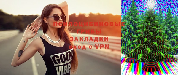 соль ск Гусь-Хрустальный