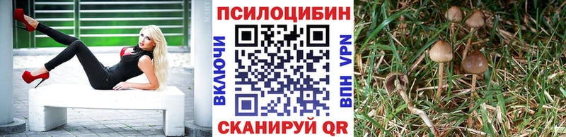Галлюциногенные грибы ЛСД  наркошоп  Костерёво 